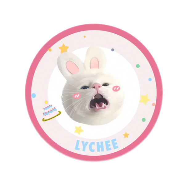 Birthday Pet Rug funny round flannel mat